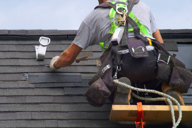 Best Metal Roofing Contractor  in Madison, IL