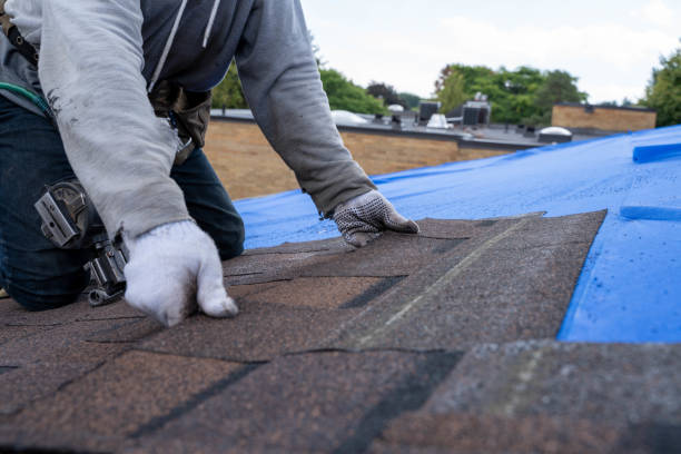 Best Flat Roof Repair Services  in Madison, IL