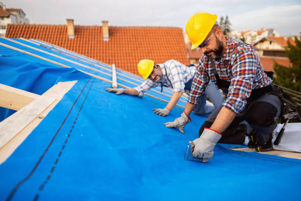Best Metal Roofing Contractor  in Madison, IL
